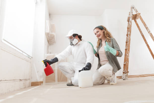 Environmental Consulting for Mold Prevention